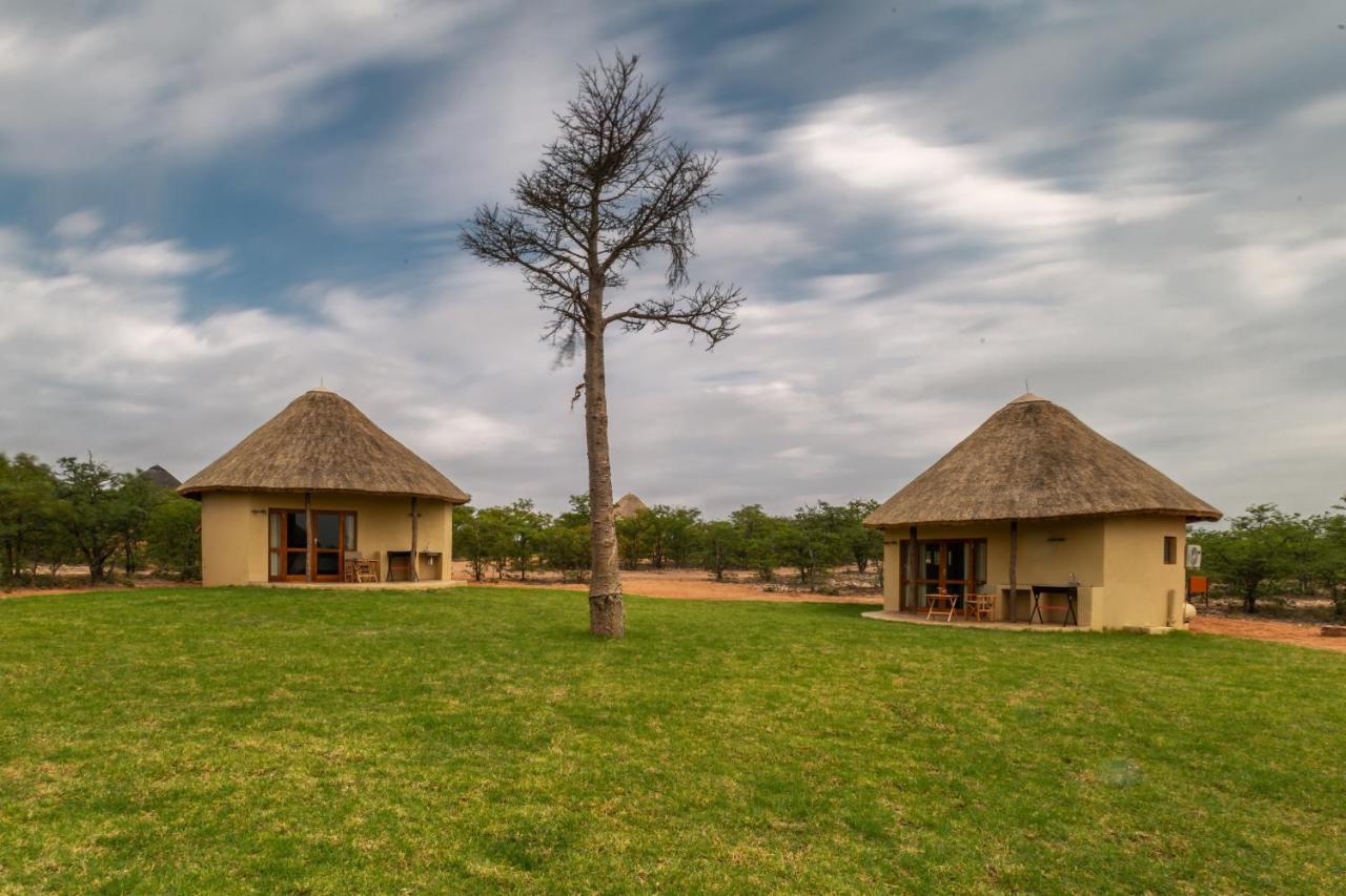 Mopane Bush Lodge Linton Kültér fotó