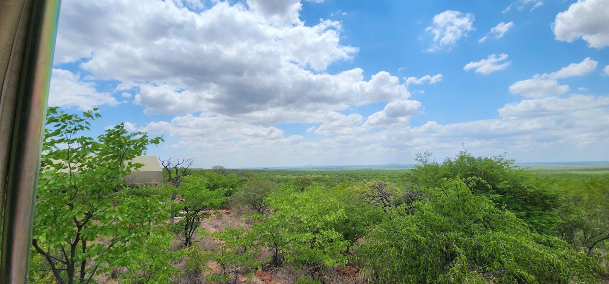 Mopane Bush Lodge Linton Kültér fotó