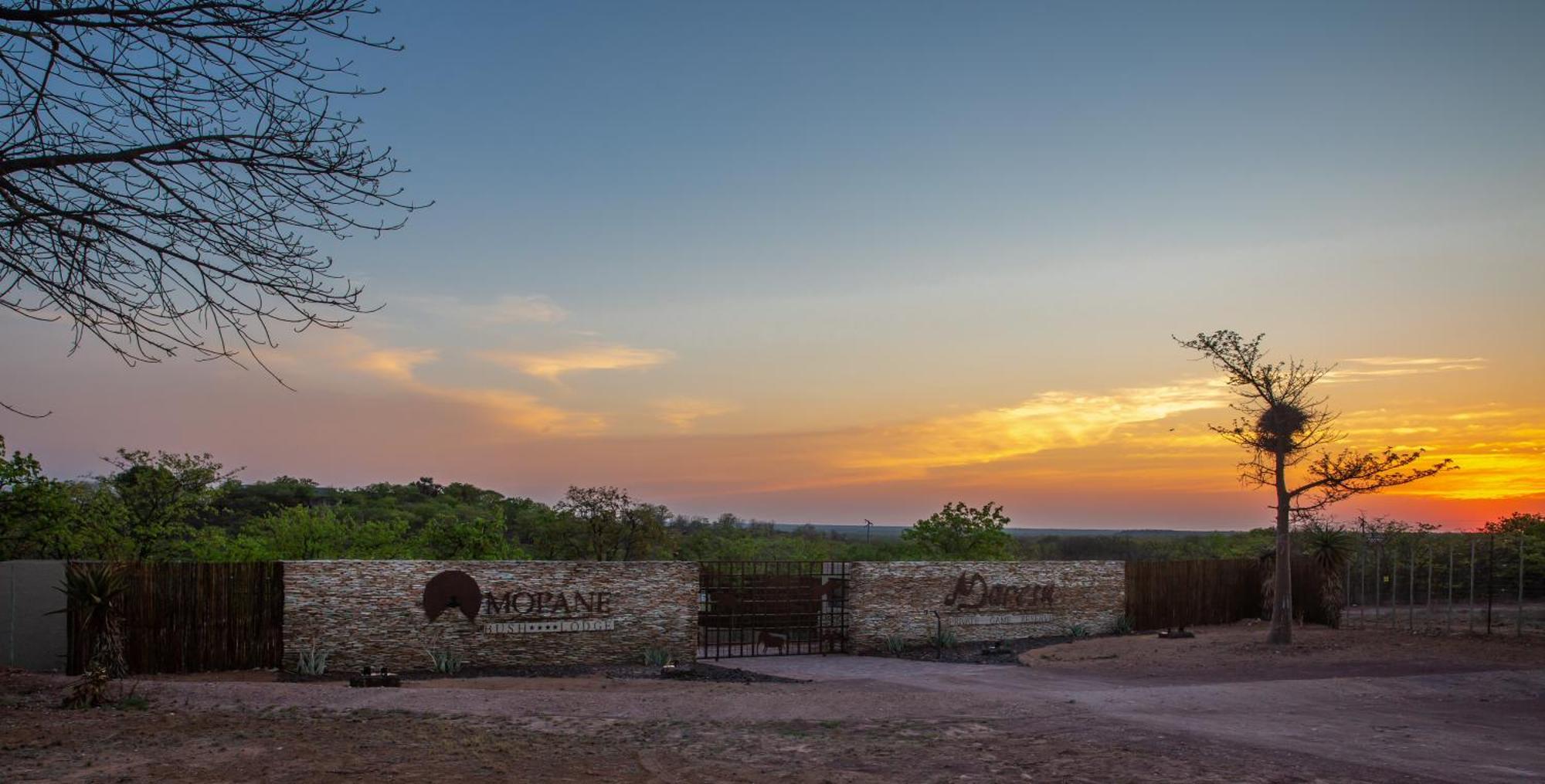 Mopane Bush Lodge Linton Kültér fotó