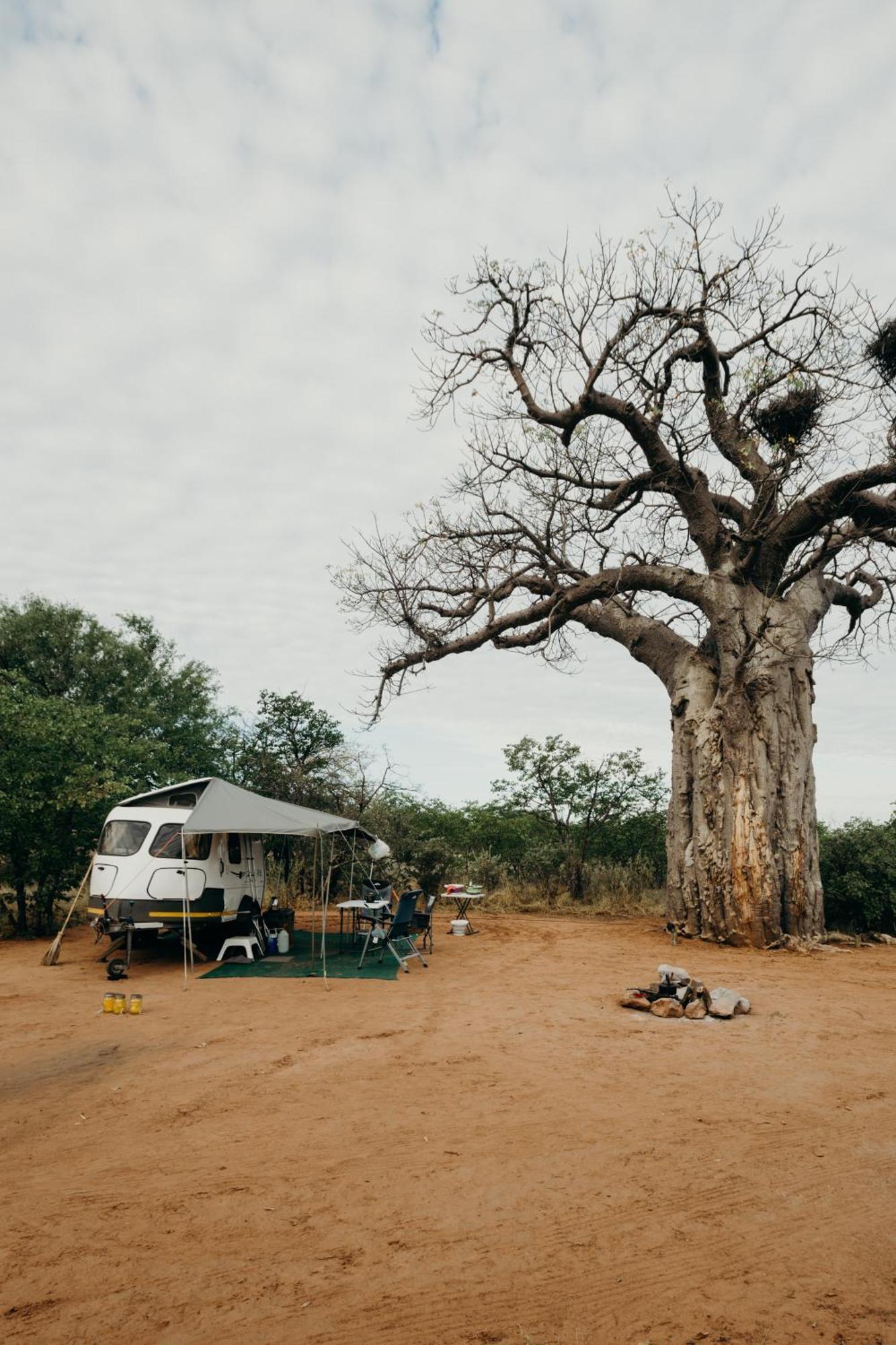 Mopane Bush Lodge Linton Kültér fotó
