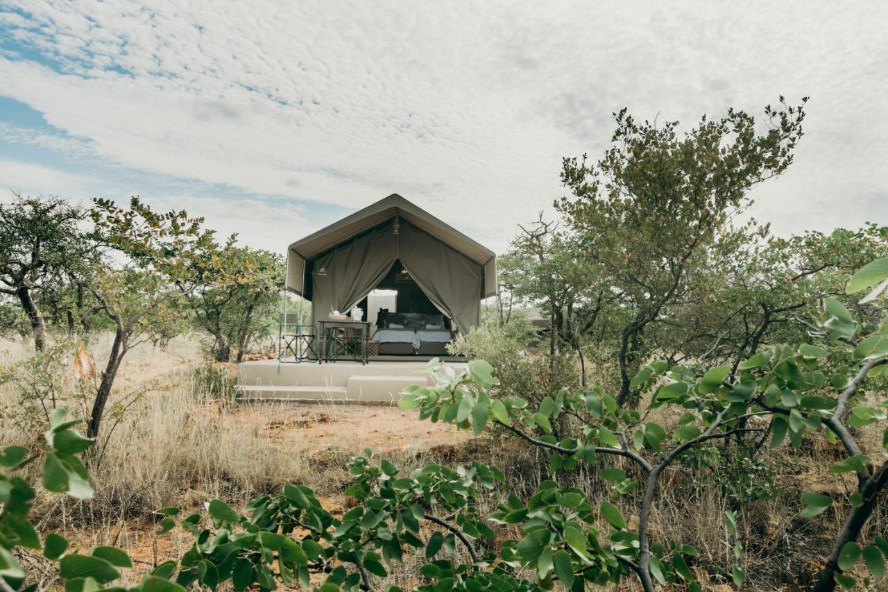 Mopane Bush Lodge Linton Kültér fotó